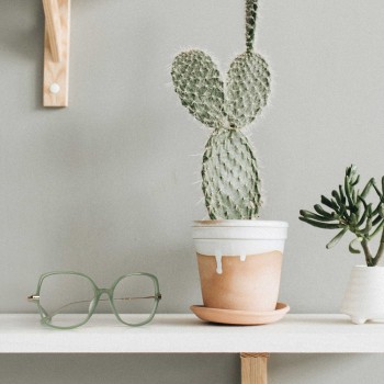 SIXTIES SIX12 'army' grun/'reine' gold