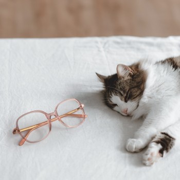 TATOU TAT43 'sunset' rosa