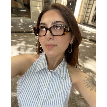 CHARMS CHA0112 turtle-shell