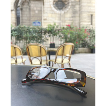 CHARMS CHA0112 schildpatt