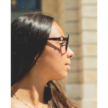 CHARMS CHA0142 turtle-shell