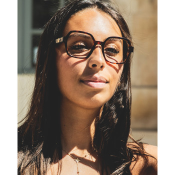 CHARMS CHA0142 turtle-shell