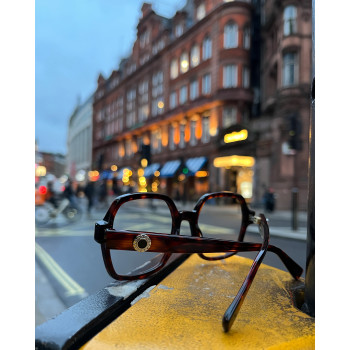 CHARMS CHA0142 turtle-shell