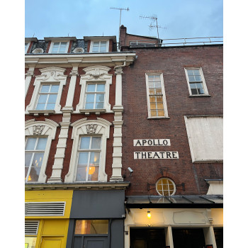 CHARMS CHA0142 turtle-shell