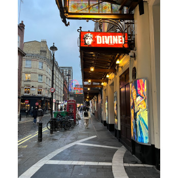 CHARMS CHA0142 turtle-shell