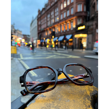 CHARMS CHA0142 turtle-shell