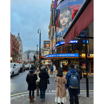 CHARMS CHA0142 turtle-shell