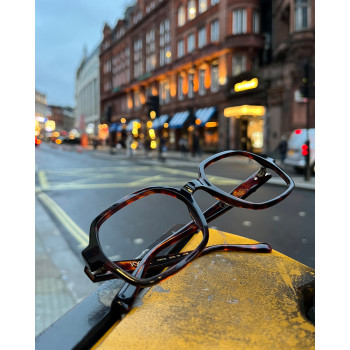 CHARMS CHA0142 turtle-shell