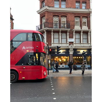 CHARMS CHA0142 turtle-shell