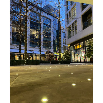 TAILORED TAI22 ecaille de tortue/or reine