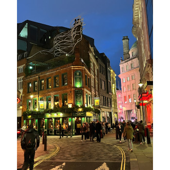 TAILORED TAI22 ecaille de tortue/or reine