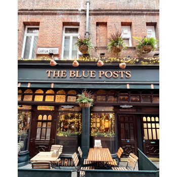 TAILORED TAI22 ecaille de tortue/or reine