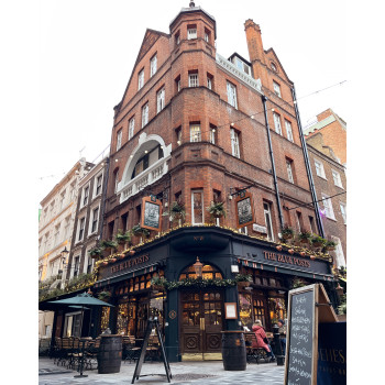 TAILORED TAI22 ecaille de tortue/or reine