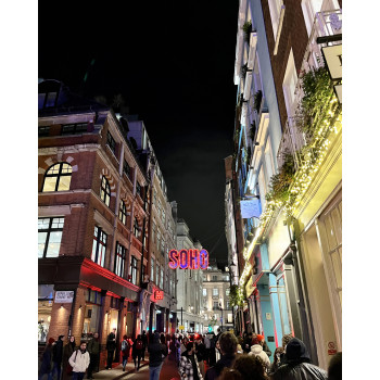 TAILORED TAI22 ecaille de tortue/or reine