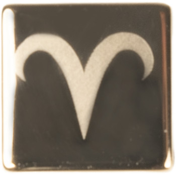 CLIP CHARMS-BELIER
