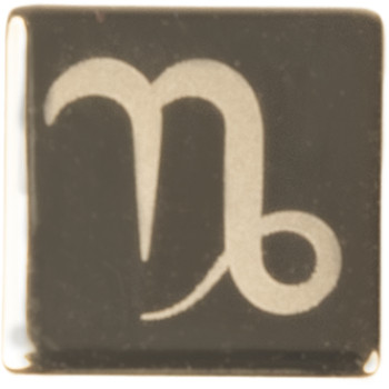 CLIP CHARMS-CAPRICORNE