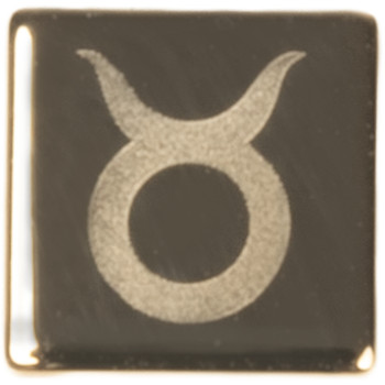 CLIP CHARMS-TAUREAU