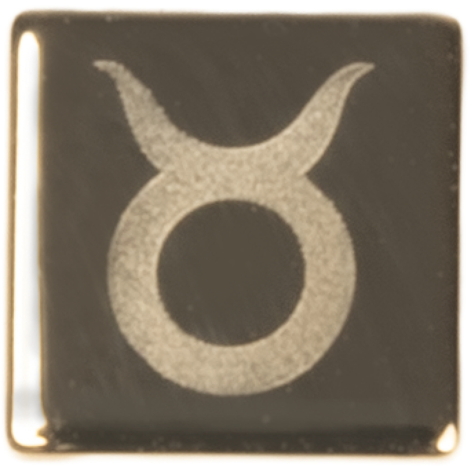 CLIP CHARMS-TAUREAU
